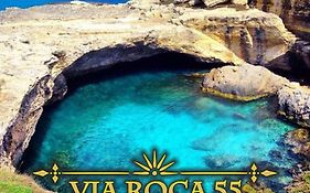 Via Roca 55